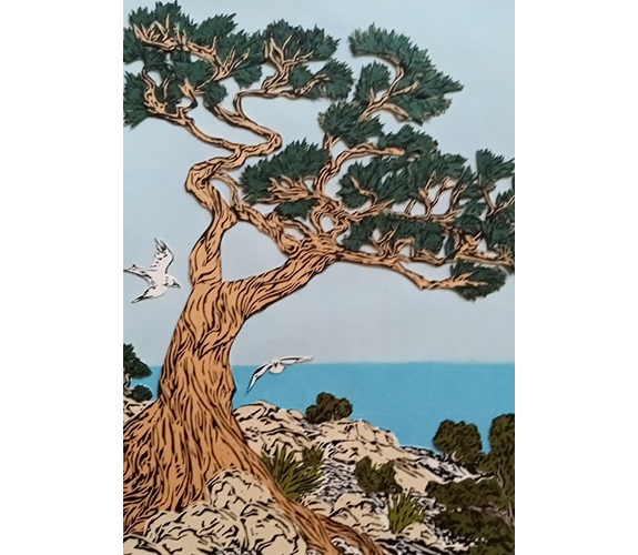 "Pacific - Monterey Cypress" - Mimi Williams